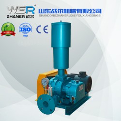 WSR-150水泥行业专用罗茨鼓风机