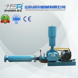 WSR-100污水行业用罗茨鼓风机